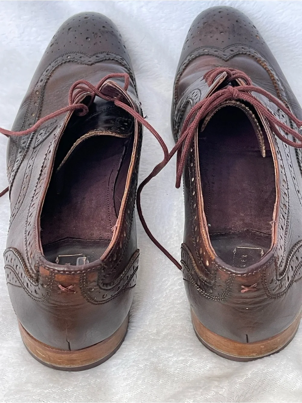 Ted Baker Gryene Derby Brown Wingtip Dress Shoes Business Classic Preppy Office